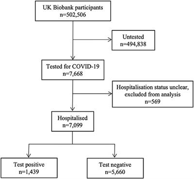 Renin-Angiotensin-Aldosterone System Blockers Are Not Associated With Coronavirus Disease 2019 (COVID-19) Hospitalization: Study of 1,439 UK Biobank Cases